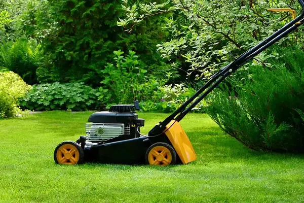 Lawn Maintenance Lawn Maintenance